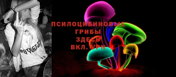 ешки Алзамай