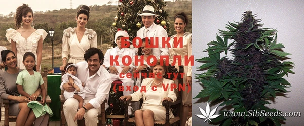 ешки Алзамай